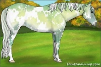 Horse Color:Watercolor White Spotted Silver Blue Onyx 