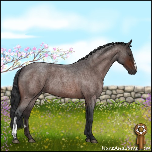 Horse Color:Brown Roan 
