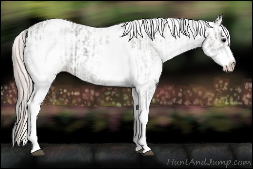 Horse Color:Platinum White Spotted Grullo Snowcap Rabicano and White Spotted Silver Grullo Snowcap Rabicano
