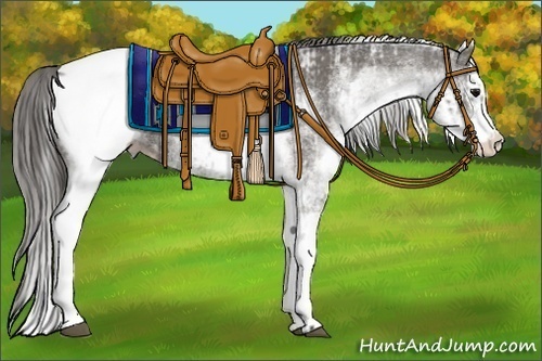 Horse Color:White Spotted Grullo Snowcap Rabicano  and White Spotted Grullo Splash Snowcap Rabicano 