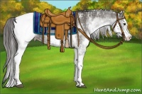 Horse Color:White Spotted Grullo Appaloosa Rabicano and White Spotted Grullo Splash Appaloosa Rabicano