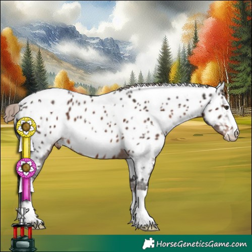Horse Color:White Spotted Liver Chestnut Near Leopard 