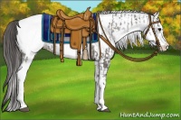 Horse Color:White Spotted Grullo Appaloosa Rabicano  and White Spotted Grullo Appaloosa Rabicano 