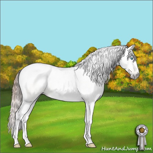 Horse Color:Gray Buckskin Pearl Dun Tobiano Appaloosa 