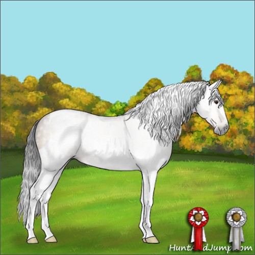 Horse Color:Gray Buckskin Dun Tobiano 