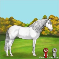 Horse Color:Gray Buckskin Dun Tobiano 