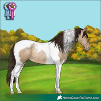 Horse Color:Gray Brown Pearl Dun Tobiano 