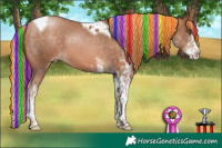 Horse Color:Painted White Spotted Silver Brown Pearl Splash Tobiano