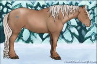 Horse Color:Silver Black Pearl