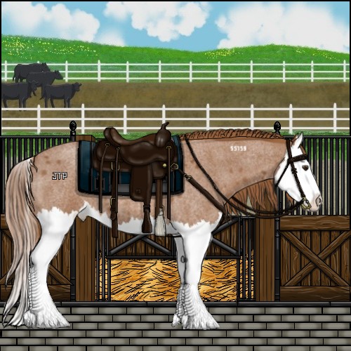 Horse Color:Red Roan Splash 