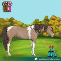 Horse Color:Classic Champagne Tobiano 