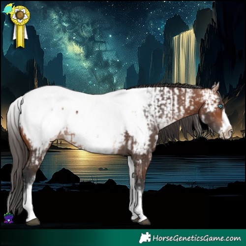 Horse Color:White Spotted Bay Frame Near Fewspot Rabicano and White Spotted Bay Frame Near Fewspot Rabicano