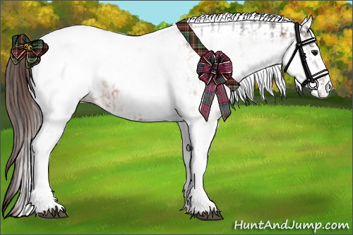 Horse Color:White Spotted Bay Appaloosa Rabicano  and White Spotted Bay Dun Appaloosa Rabicano 