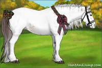 Horse Color:White Spotted Bay Appaloosa Rabicano  and White Spotted Bay Dun Appaloosa Rabicano 
