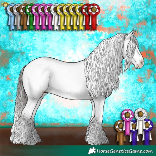 Horse Color:Brown Dun Appaloosa Brindle 