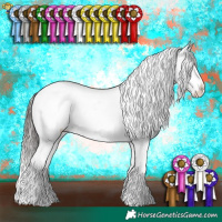 Horse Color:Brown Dun Appaloosa Brindle 