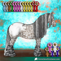 Horse Color:Brown Dun Appaloosa Brindle 