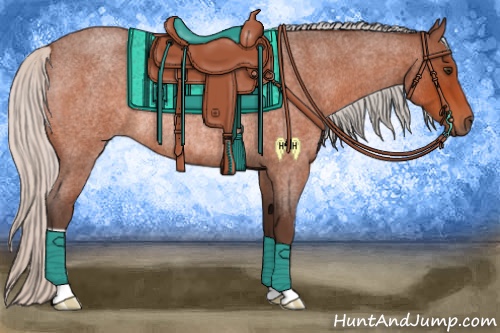 Horse Color:Silver Brown Roan Rabicano 