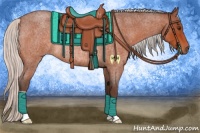 Horse Color:Silver Brown Roan Rabicano 