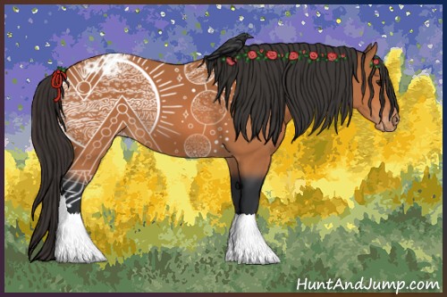 Horse Color:Bay Appaloosa 