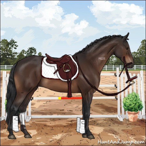 Horse Color:Brown 