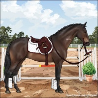 Horse Color:Brown 
