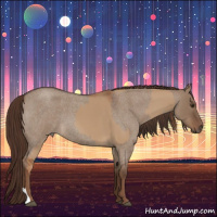 Horse Color:Red Dun  and Liver Red Dun Roan 