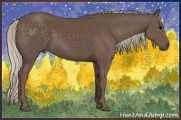 Horse Color:Silver Black 