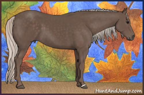 Horse Color:Silver Black 