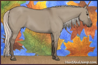 Horse Color:Silver Grullo 