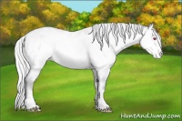 Horse Color:Silver Sable Champagne Chinchilla Roan Onyx Near Leopard Brindle 