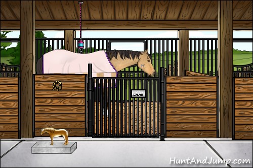 Horse Color:Buckskin Dun