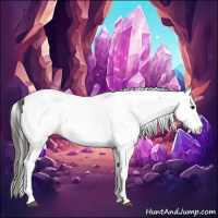 Horse Color:White Spotted Grullo Appaloosa Rabicano  and White Spotted Grullo Appaloosa Rabicano 