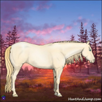 Horse Color:Buckskin Roan Pearl  and Buckskin Roan Pearl 