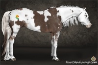 Horse Color:Liver Chestnut Sabino Rabicano  and Chocolate Palomino Pearl Sabino Splash Appaloosa Rabicano 