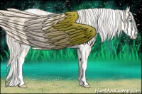 Horse Color:Chocolate Palomino Ice Pearl Sabino Varnish Rabicano and Chocolate Palomino Ice Pearl Sabino Varnish Rabicano