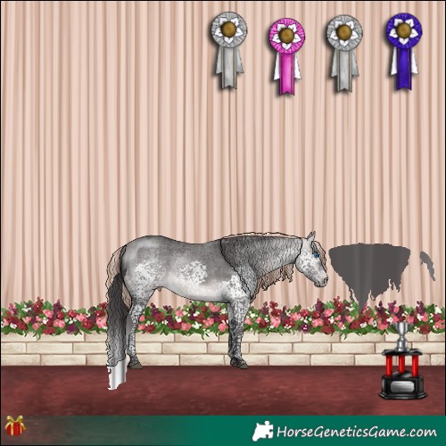 Horse Color:Platinum Buckskin Splash Tobiano 