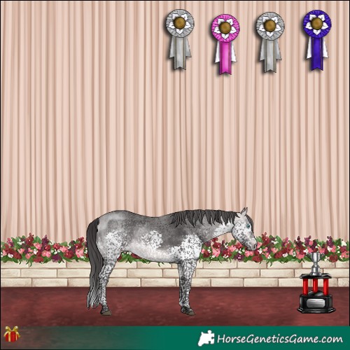 Horse Color:Platinum Buckskin Splash Tobiano 