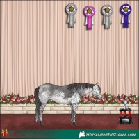Horse Color:Platinum Buckskin Splash Tobiano 