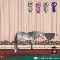 Horse Color:Platinum Buckskin Splash Tobiano