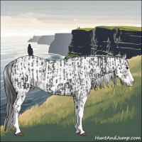 Horse Color:Black Sabino Appaloosa Rabicano and Black Sabino Appaloosa Rabicano