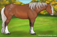 Horse Color:White Spotted Silver Bay Splash 