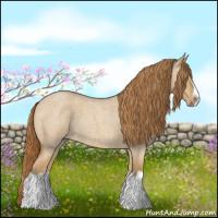 Horse Color:Red Dun Roan Splash Frame Rabicano 