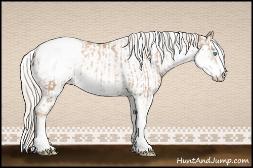 Horse Color:Chocolate Palomino Pearl Sabino Snowcap Rabicano and Silver Buckskin Pearl Sabino Snowcap Rabicano