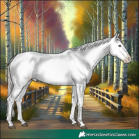 Horse Color:White Spotted Liver Red Dun Mushroom Sabino Appaloosa Rabicano Brindle and Chocolate Palomino Pearl Sabino Appaloosa Rabicano