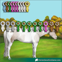 Horse Color:Classic Champagne Tobiano 