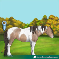 Horse Color:Sable Champagne Tobiano 