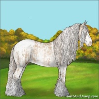Horse Color:Chocolate Palomino Pearl Sabino Appaloosa Rabicano  and Chocolate Palomino Pearl Sabino Appaloosa Rabicano 