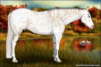 Horse Color:Chocolate Palomino Pearl Sabino Snowcap Rabicano and Chocolate Palomino Pearl Sabino Splash Snowcap Rabicano