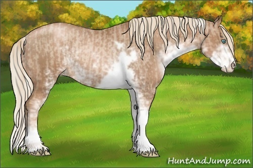 Horse Color:Chocolate Palomino Pearl Sabino Varnish Rabicano and Liver Chestnut Pearl Sabino Varnish Rabicano